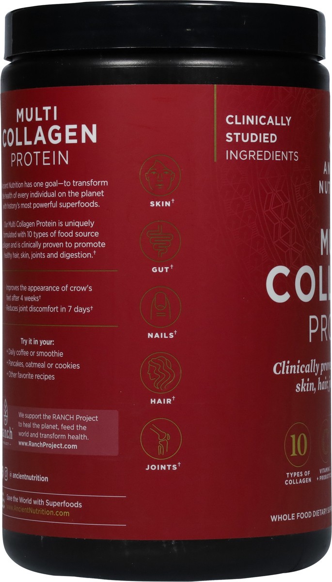 slide 4 of 9, Ancient Nutrition Multi Collagen Protein 16 oz, 16 oz