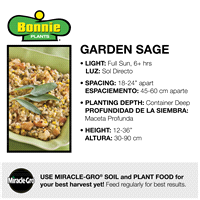 slide 5 of 9, Bonnie Plants  Sage Garden Green, 19.3 oz