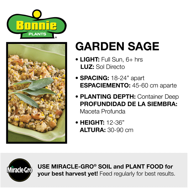 slide 2 of 9, Bonnie Plants  Sage Garden Green, 19.3 oz