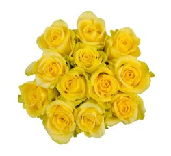 Fresh Yellow Roses - 1 Dozen Bunch