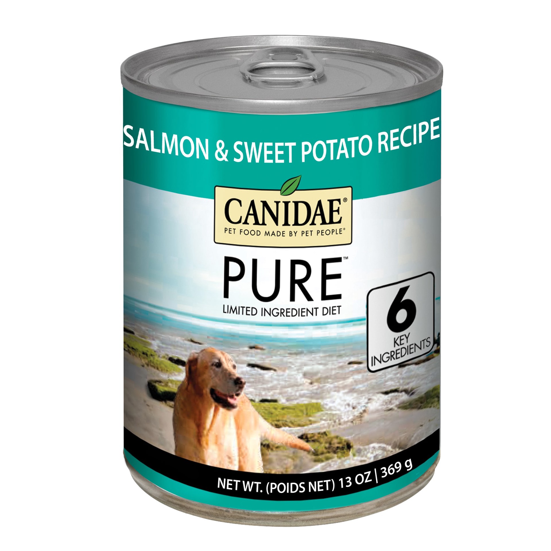 slide 1 of 1, CANIDAE Grain Free PURE Sea Salmon & Mackerel Formula Wet Dog Food, 13 oz
