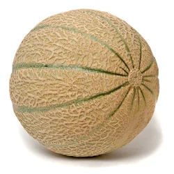 Cantaloupe/Muskmelon, Large