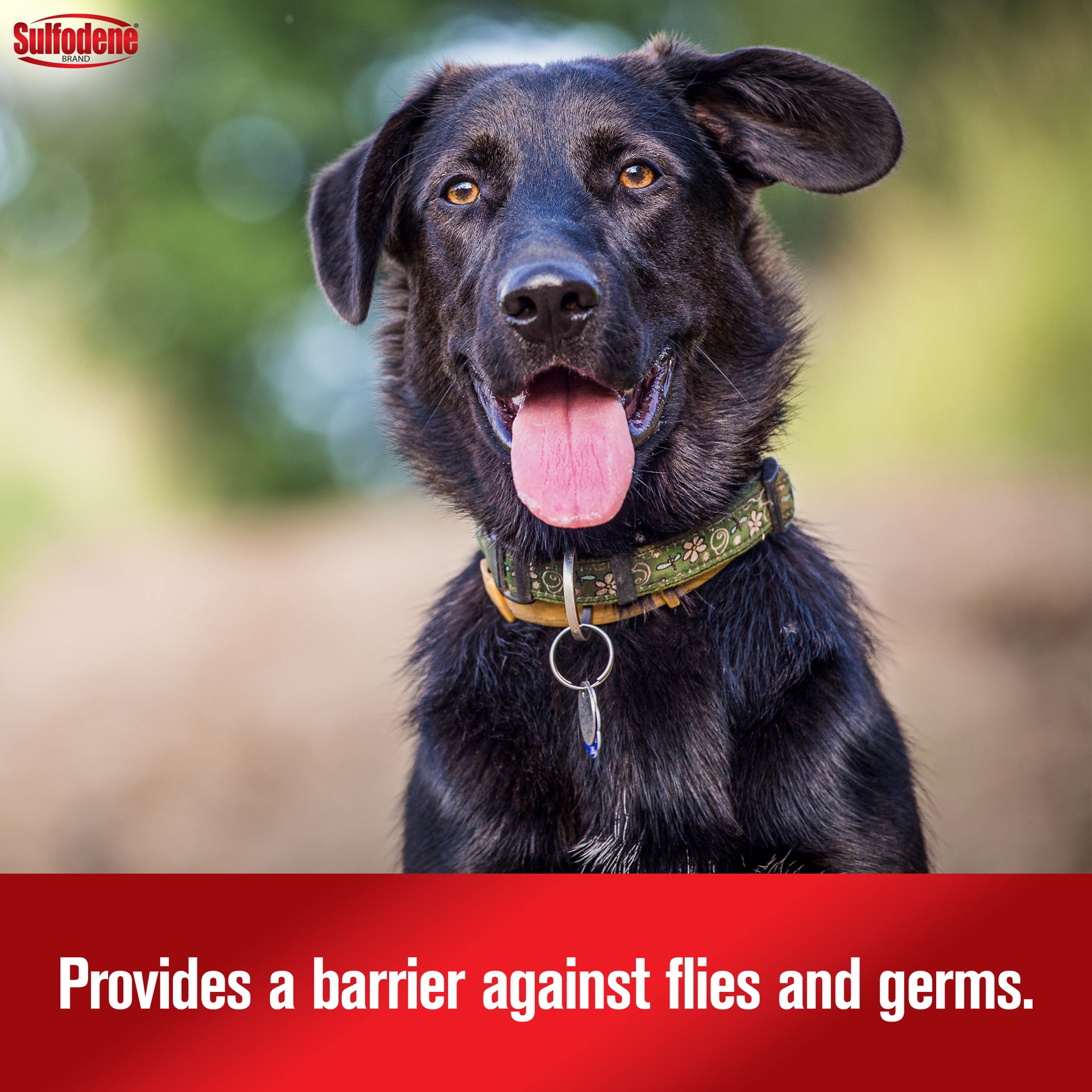 slide 7 of 10, Sulfodene 3-Way Ointment for Dogs, 1 ct