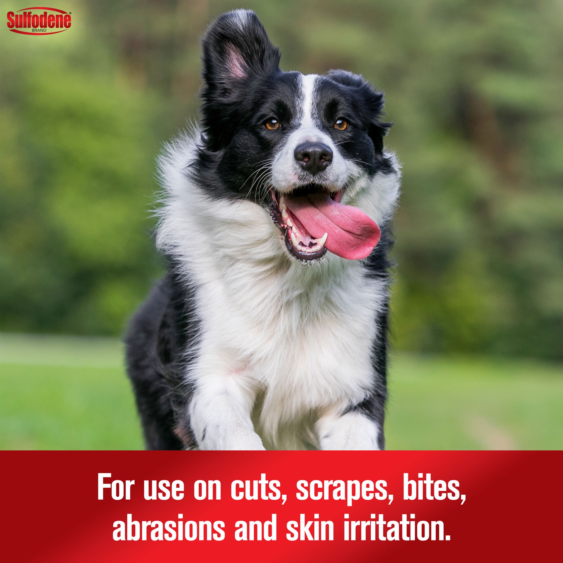 slide 9 of 10, Sulfodene 3-Way Ointment for Dogs, 1 ct