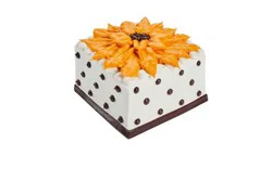 The Cakery 8 Inch Sunflower Delight Cake
