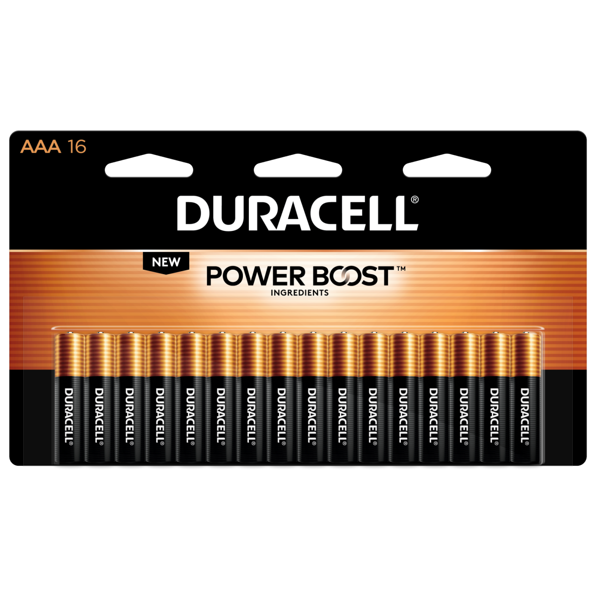 slide 1 of 6, Duracell Dura Aaa 16Pk, 16 ct