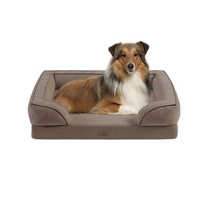 slide 1 of 1, Martha Stewart Bella Small Memory Foam Dog Couch - Brown, 1 ct