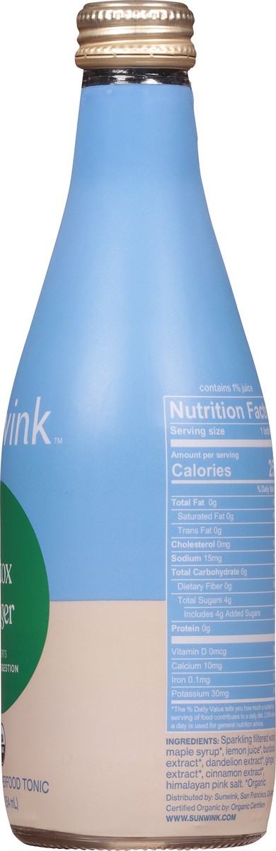 slide 8 of 9, Sunwink Detox Ginger Sparkling Tonic - 12 fl oz, 12 fl oz