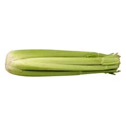 Organic Celery Hearts