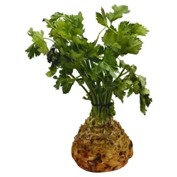 Produce Celery Root