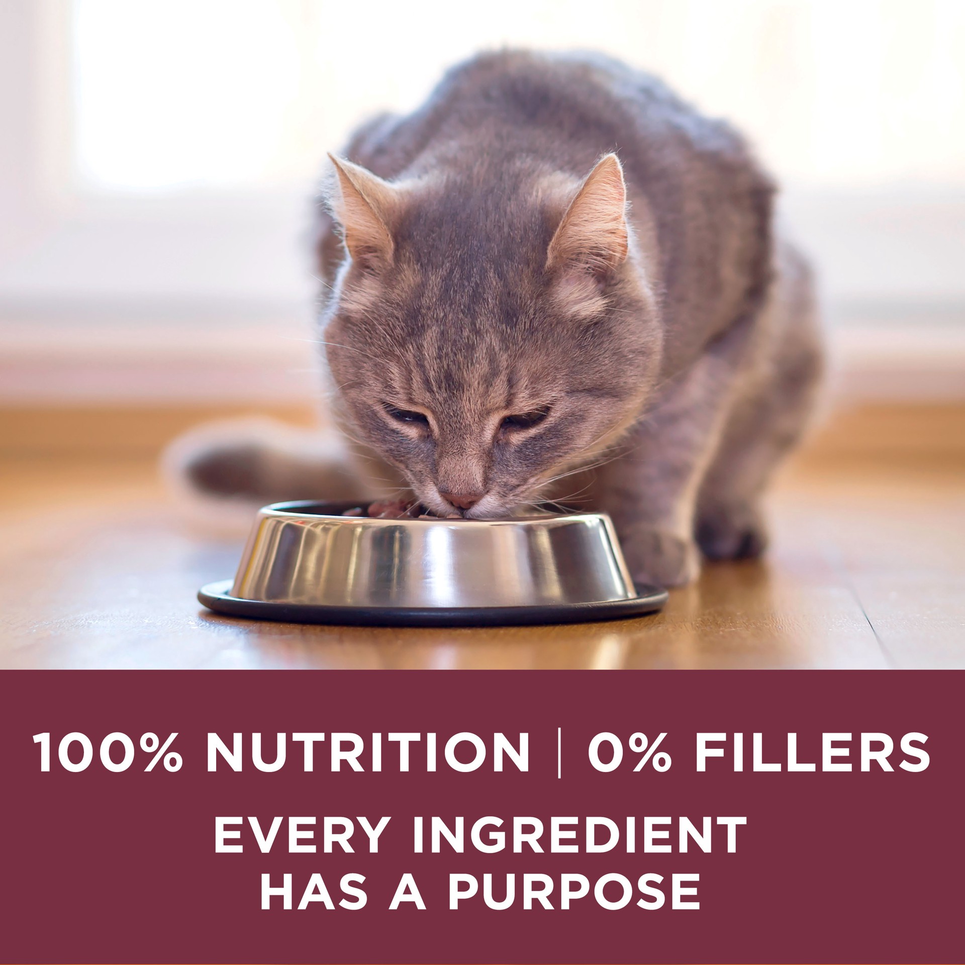 slide 3 of 8, ONE Purina ONE High Protein Dry Cat Food, +Plus Urinary Tract Health Formula, 7 lb