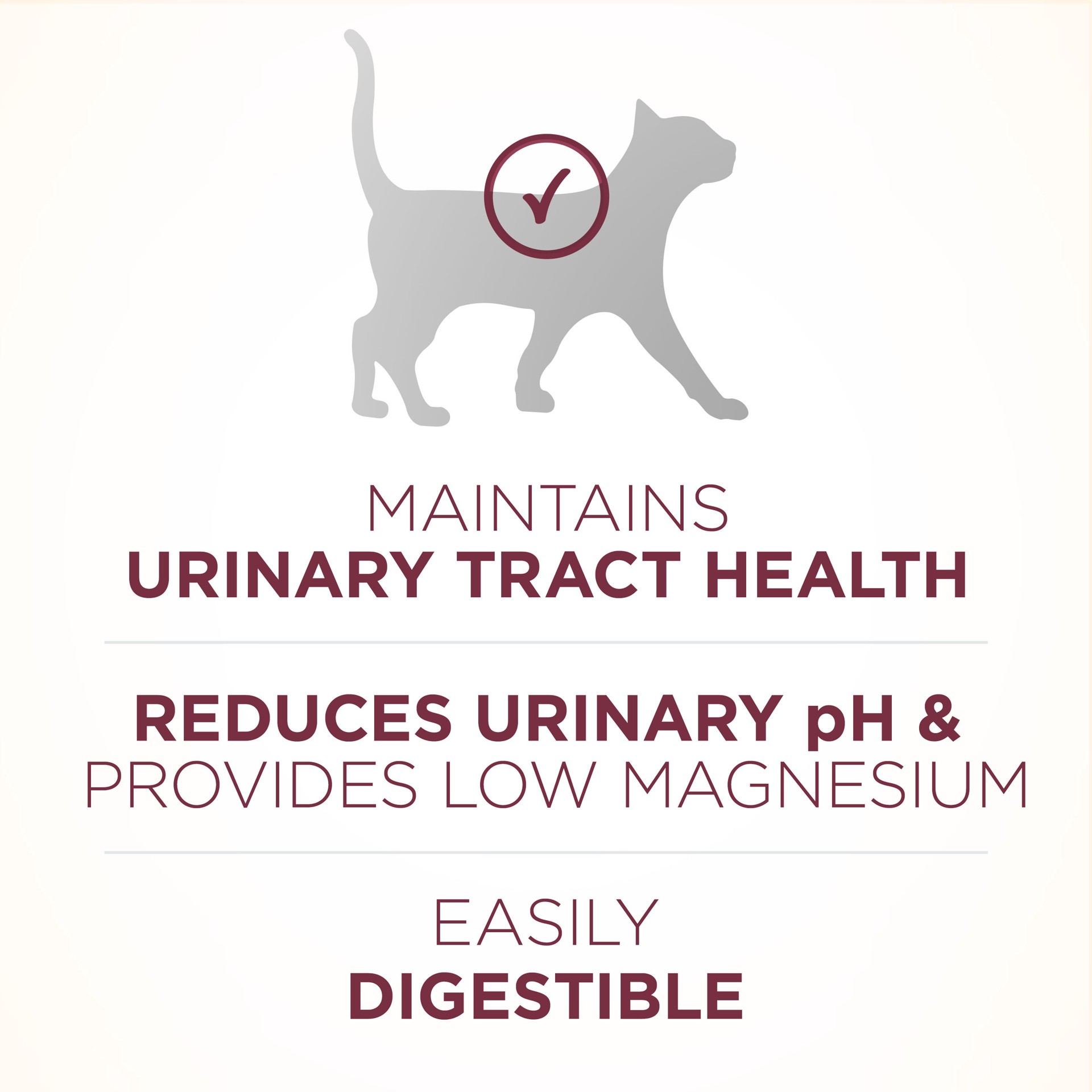 slide 4 of 8, ONE Purina ONE High Protein Dry Cat Food, +Plus Urinary Tract Health Formula, 7 lb