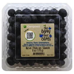 Produce Blueberries