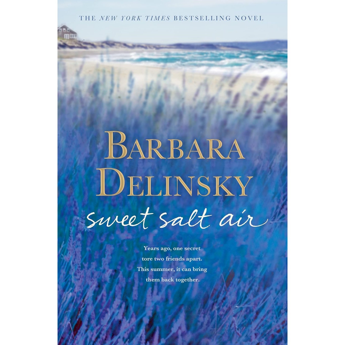 slide 1 of 1, Sweet Salt Air, 1 ct