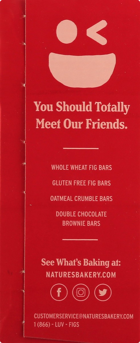 slide 4 of 9, Nature's Bakery Strawberry Whole Wheat Fig Bars, Snack Bars, 6 Ct, 6 ct