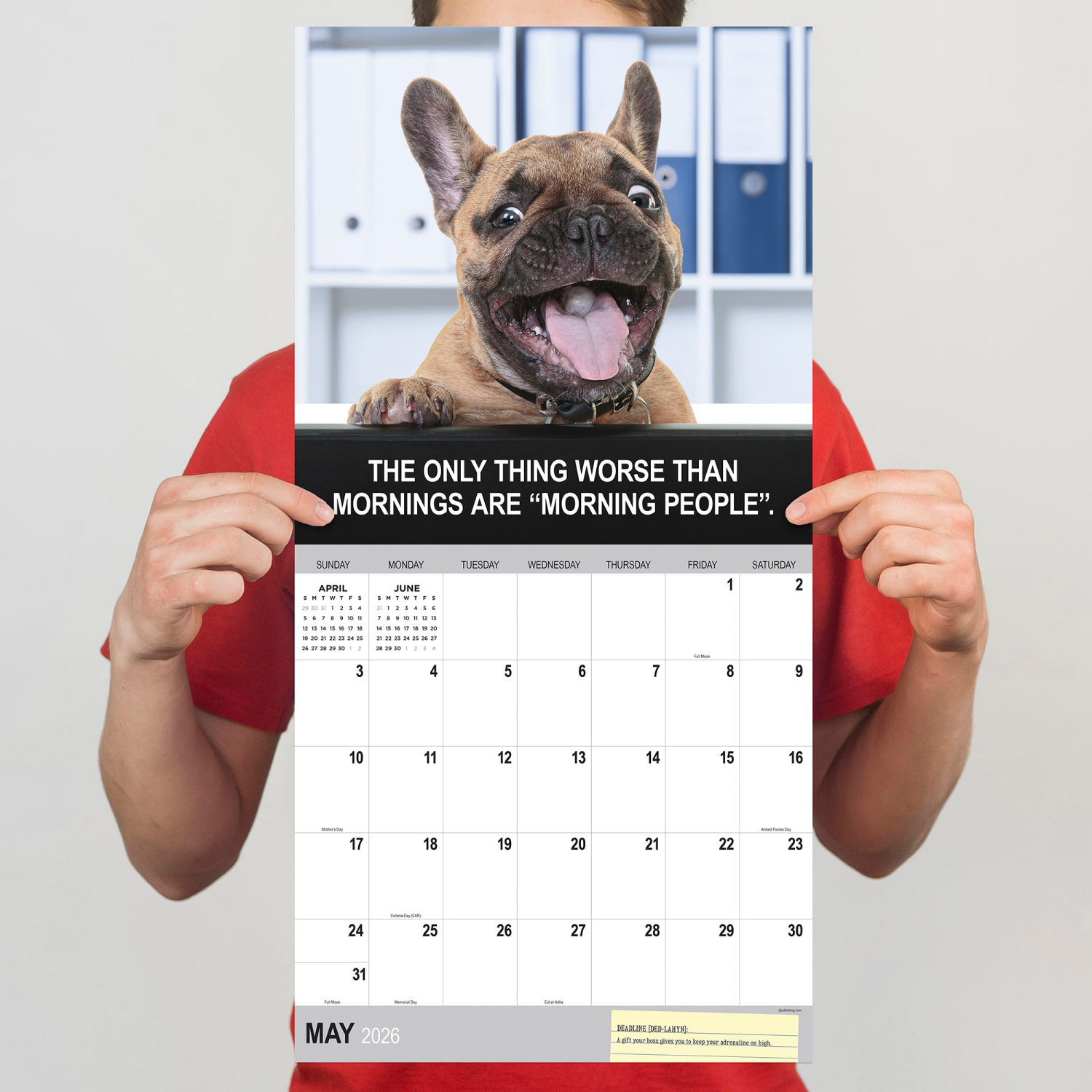 slide 2 of 2, TF Publishing 2026 TF Publishing Humor Monthly Wall Calendar, 12"" x 12"", Desk Dogs, January To December, 1 ct