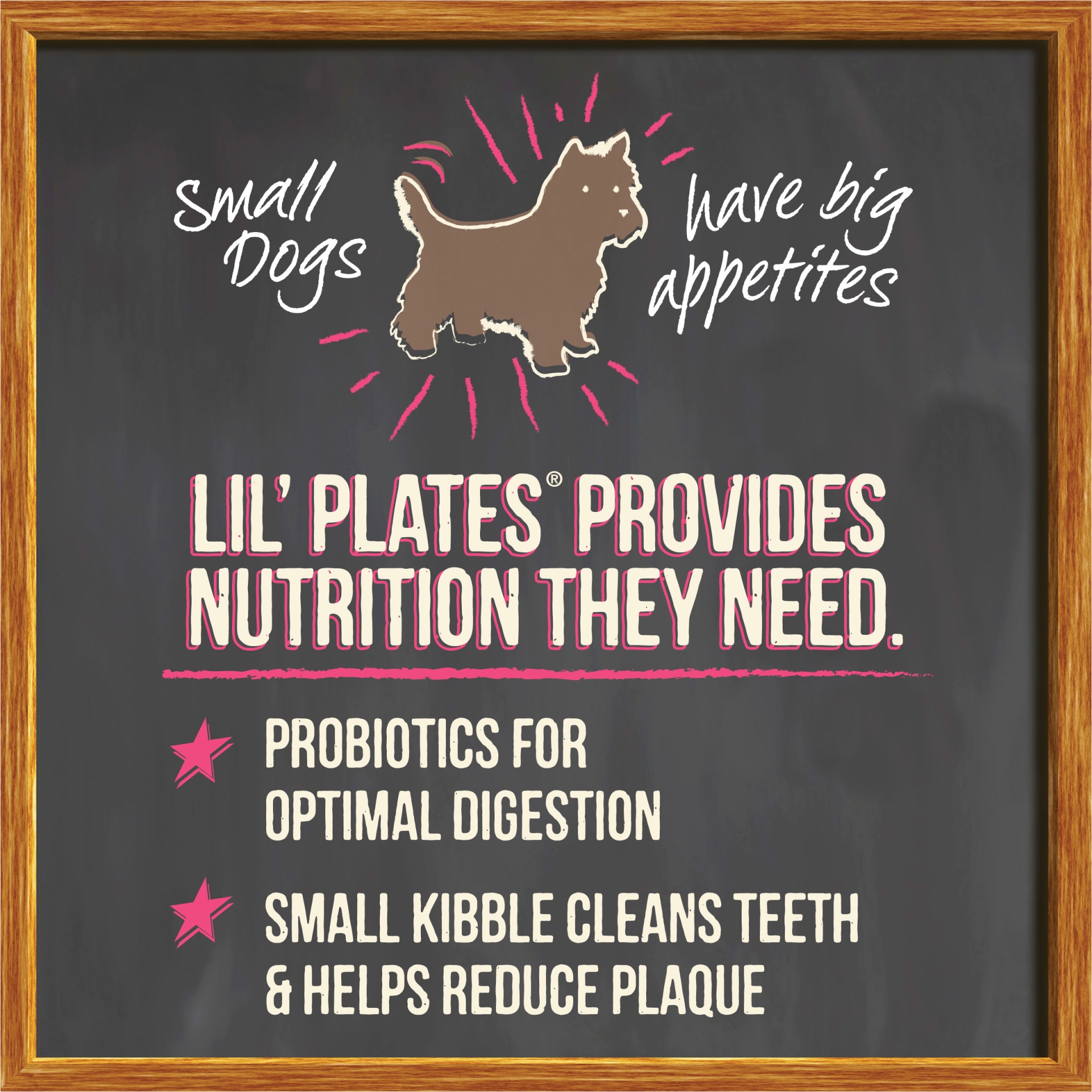 slide 1 of 1, Merrick Lil' Plates Grain Free Real Chicken, Sweet Potatoes + Peas Recipe with Freeze Dry Dog Food, 10 lb
