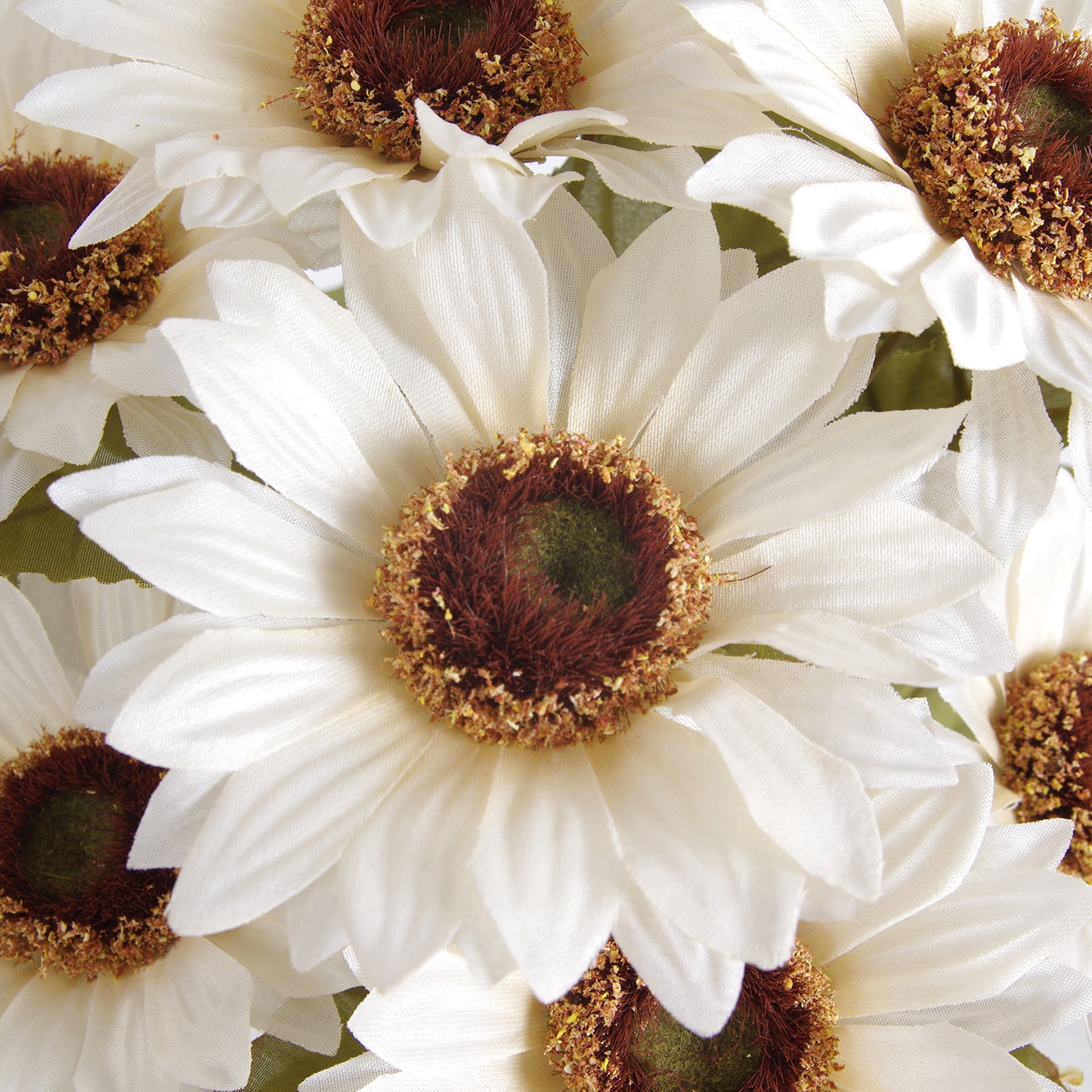 slide 3 of 3, 18.5" Basic Small Cream Sunflower Bush By Ashland, 18.5 in x 10 in x 5.5 in