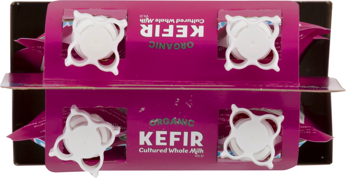 slide 5 of 11, Lifeway Kefir, 4 ct