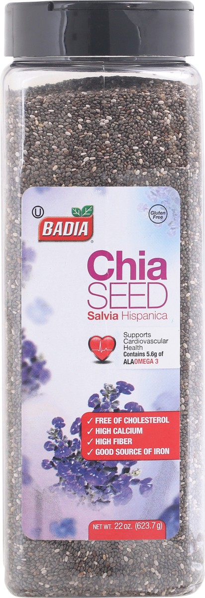 slide 1 of 1, NON BRAND Salvia Hispanica (Chia Seed) Jar, 22 oz