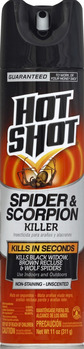 slide 2 of 2, Hot Shot Spider & Scorpion Killer 11 oz, 11 oz