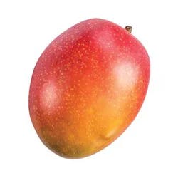 Mango Tommy Atkins