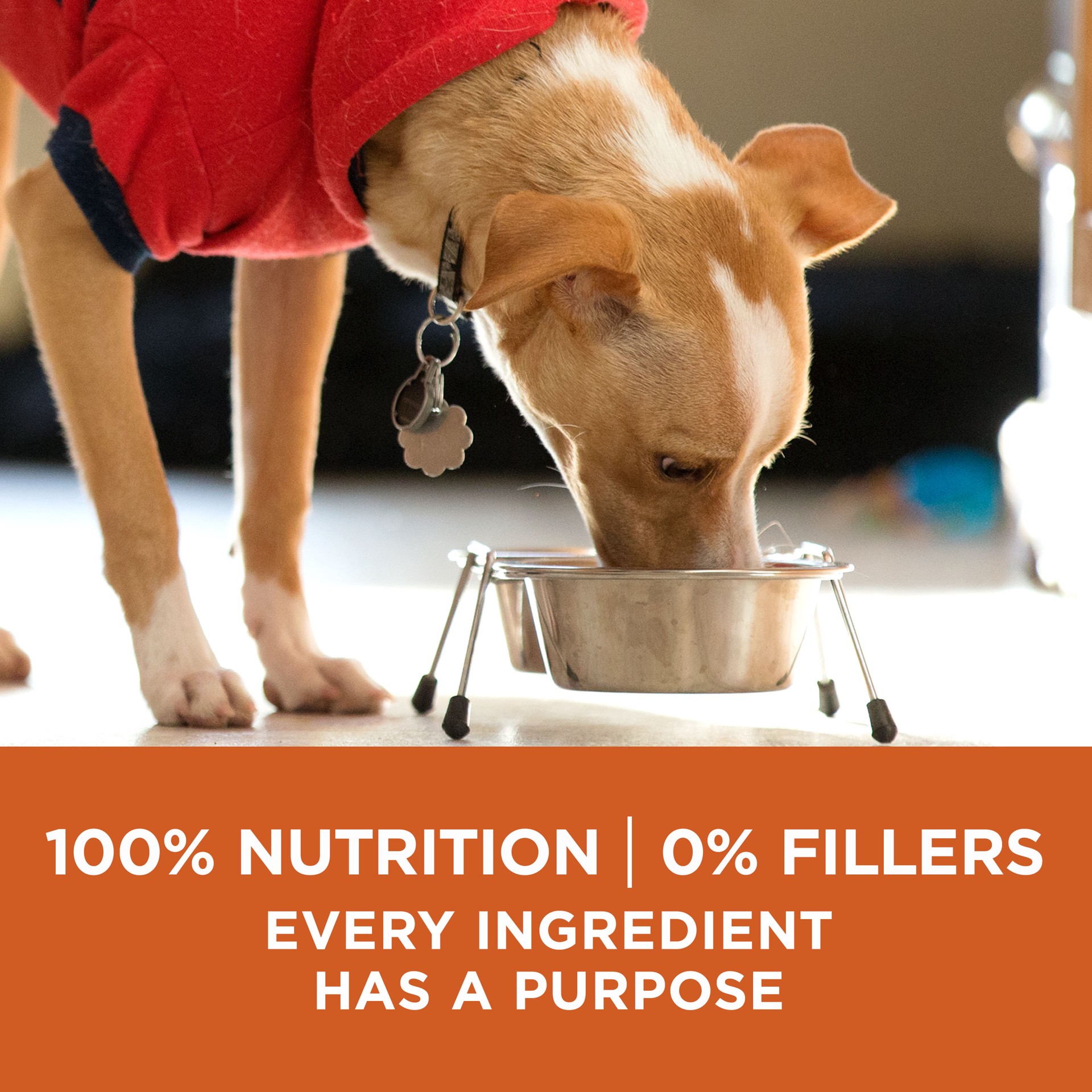 slide 3 of 8, ONE Purina ONE Plus Healthy Weight High-Protein Dog Food Dry Formula, 40 lb