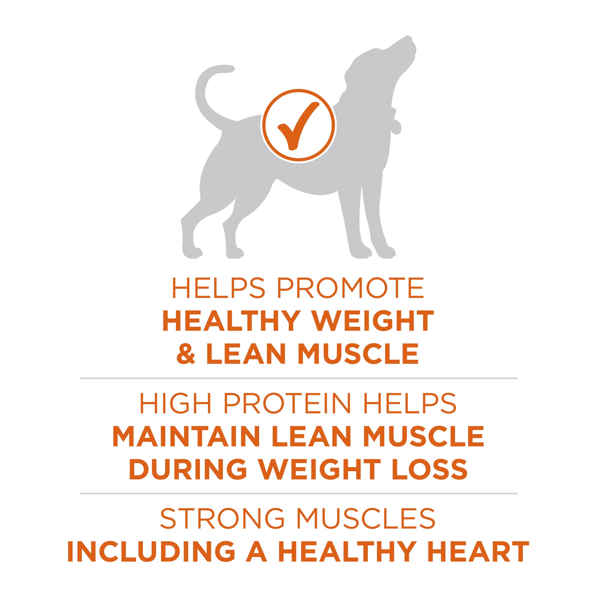 slide 6 of 8, ONE Purina ONE Plus Healthy Weight High-Protein Dog Food Dry Formula, 40 lb