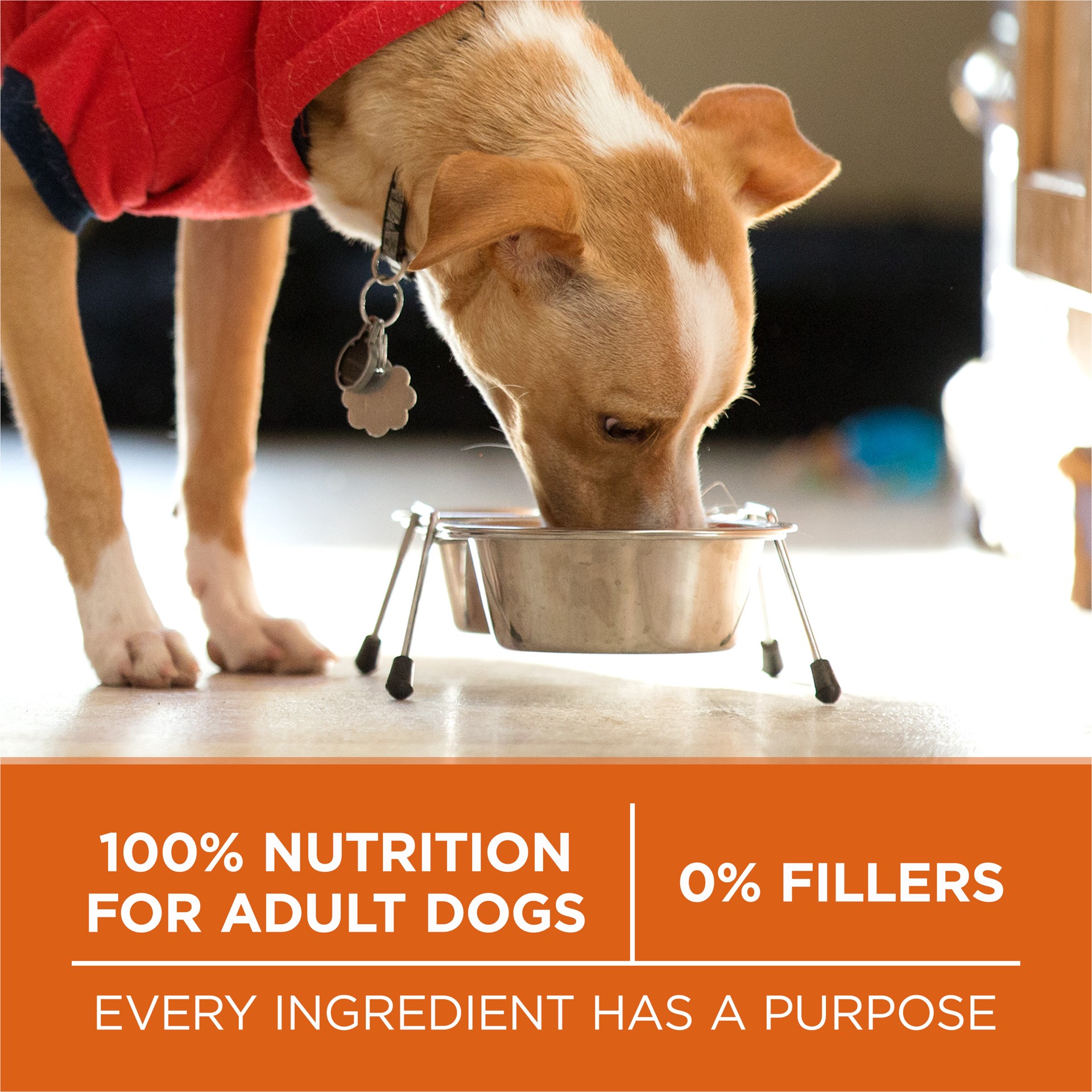 slide 7 of 8, ONE Purina ONE Plus Healthy Weight High-Protein Dog Food Dry Formula, 40 lb