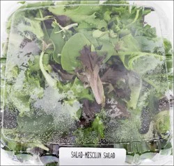 Lettuce Salad - Mesclun