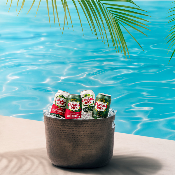 slide 10 of 25, Canada Dry Fruit Splash Cherry Ginger Ale Soda, 12 fl oz cans, 12 pack, 12 ct; 12 fl oz