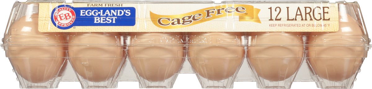 slide 6 of 9, Eggland's Best Cage Free Large Brown Eggs, 1 doz