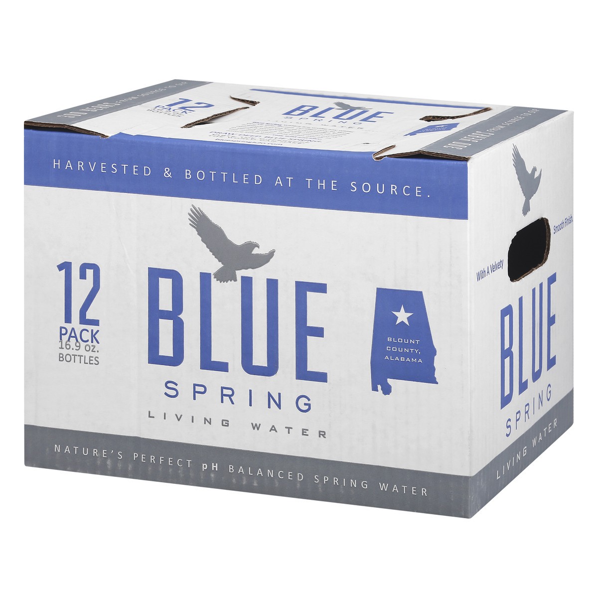 slide 2 of 8, Blue Spring Living Water Case - 16 oz, 16 oz