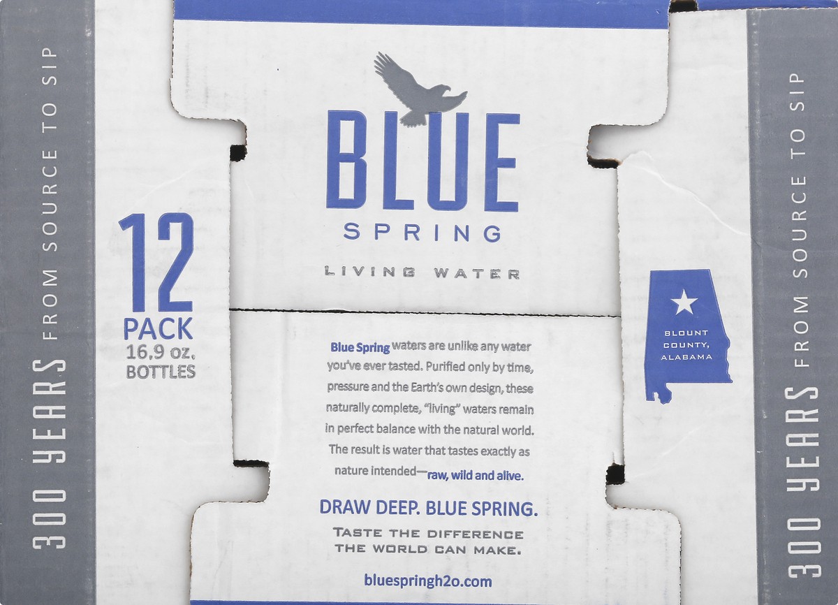 slide 3 of 8, Blue Spring Living Water Case - 16 oz, 16 oz