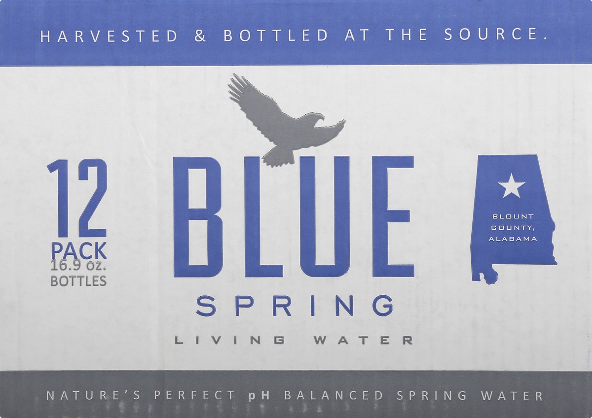 slide 6 of 8, Blue Spring Living Water Case - 16 oz, 16 oz