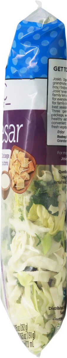 slide 13 of 13, Josie's Organics Organic Kale Caesar Chopped Salad Kit 1 ea, 1 ea