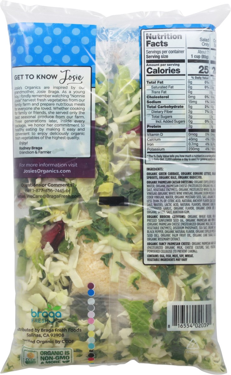 slide 6 of 13, Josie's Organics Organic Kale Caesar Chopped Salad Kit 1 ea, 1 ea