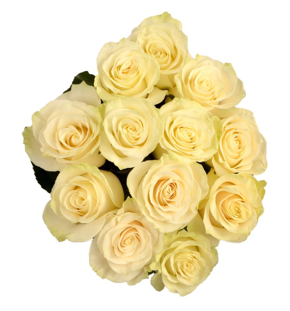 slide 1 of 1, Fresh White Roses - Dozen Bunch, 1 ct