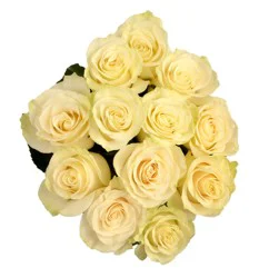 Fresh White Roses - 1 Dozen Bunch