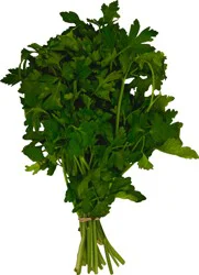 Organic Italian Parsley Bag