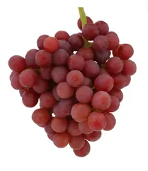 Fresh Holiday Red Seedless Grapes