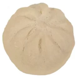 Deli BBQ Steamed Pork Bun Cold - Each