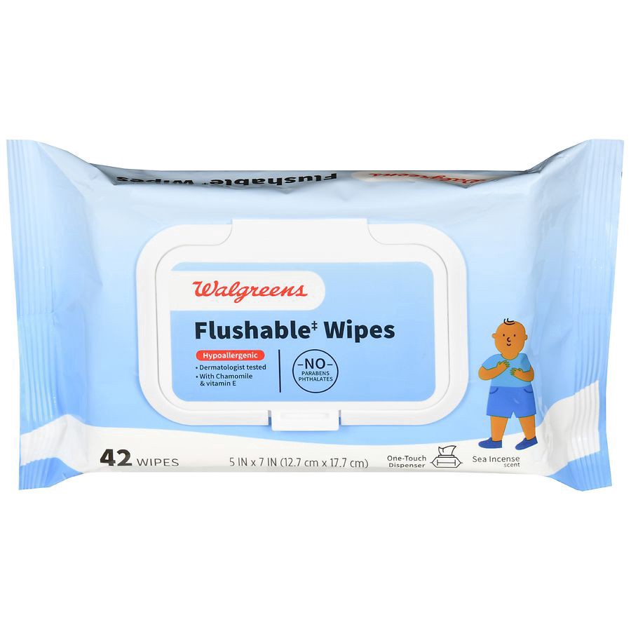 slide 1 of 5, Walgreens Flushable Wipes Sea Incense, 42 ct