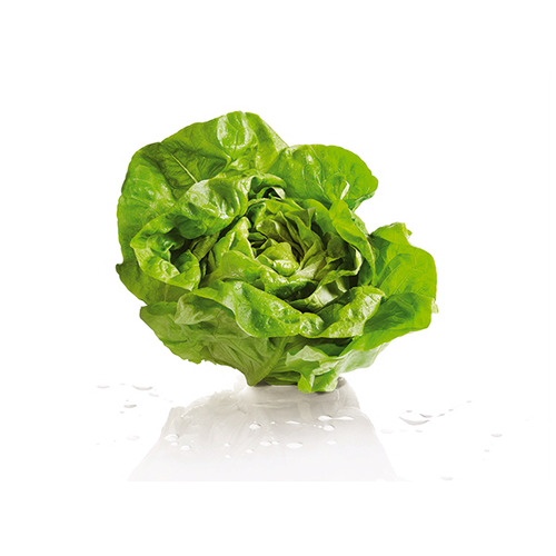 slide 1 of 1, butter lettuce, 1 ct