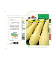 Burpee® Butter Dish Summer Squash Seeds