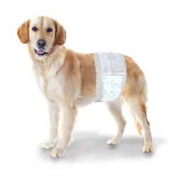 Four Paws Wee-Wee Disposable Male Dog Wraps Male Wraps