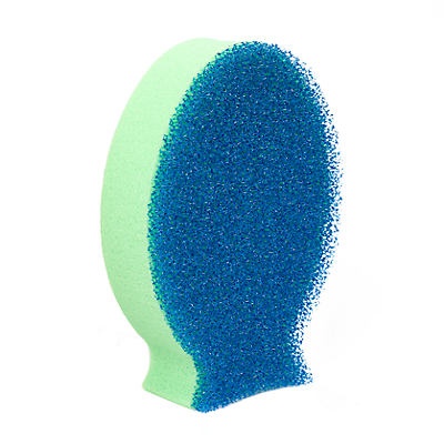 slide 1 of 1, DishFish GoFish Scrubber Sponge, 1 ct