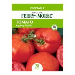 Tomato Big Boy Hybrid Heirloom