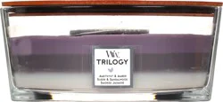 WoodWick Trilogy Amethyst Sky Candle 1 ea