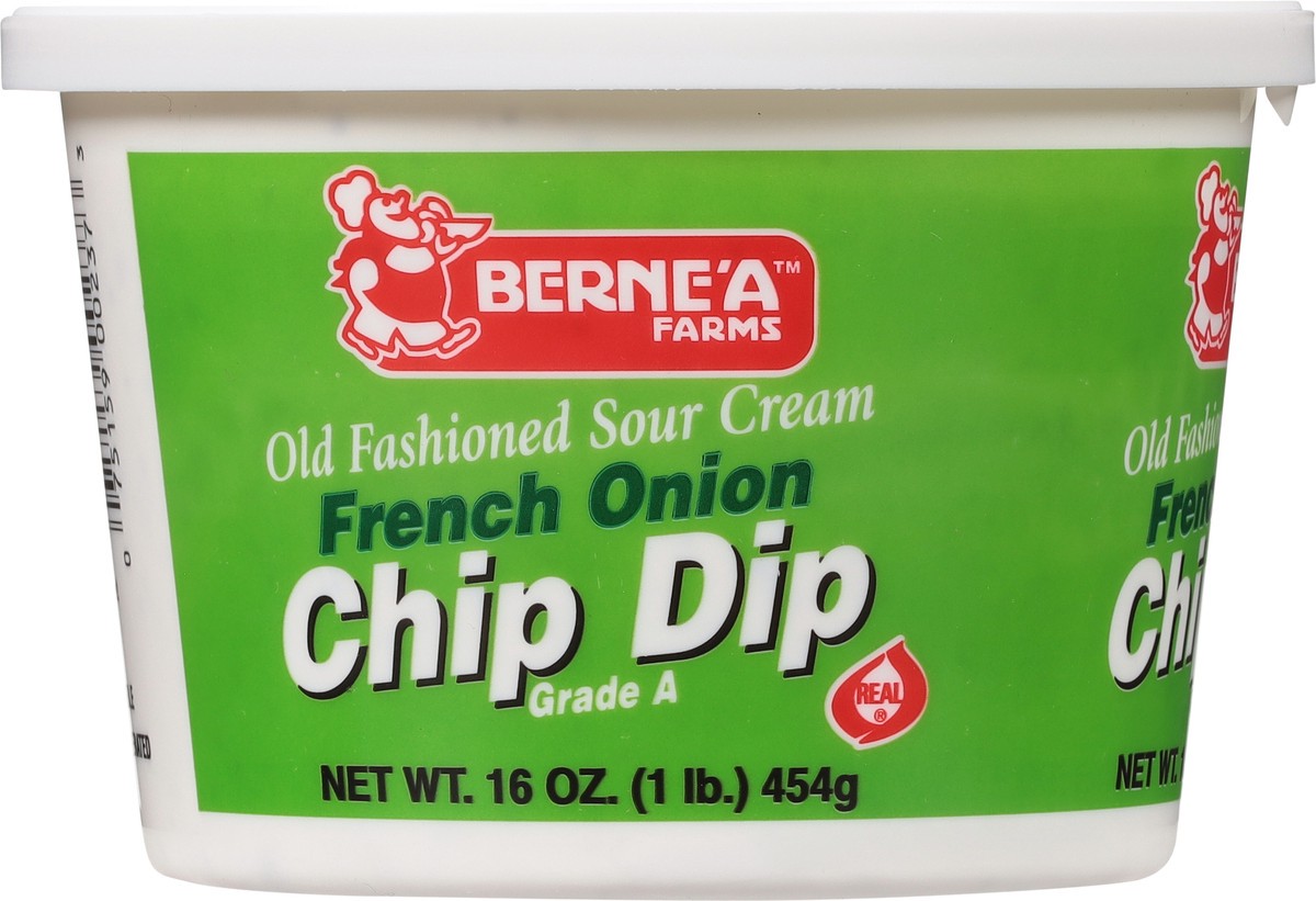 slide 9 of 9, Berne'a Farms French Onion Chip Dip 16 oz, 16 oz